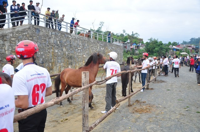 La course hippique de Bac Ha, un trait culturel original des ethnies du Nord Ouest - ảnh 2